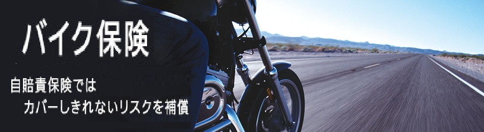 ��ʎ����ԕی��u�r�f�o�v