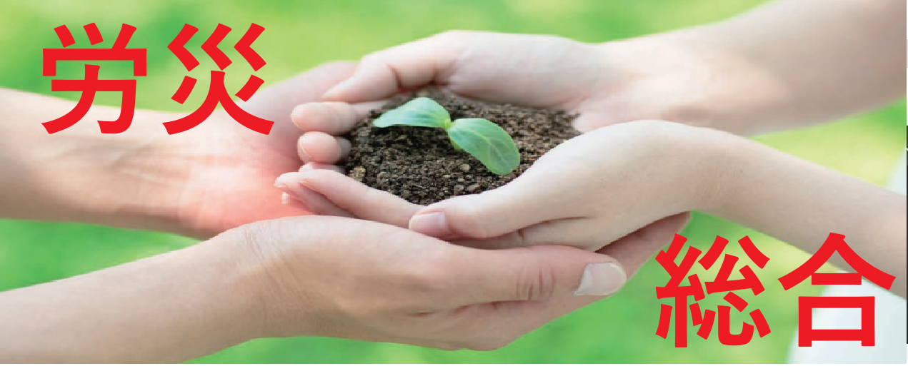 �J���ЊQ�����ی�