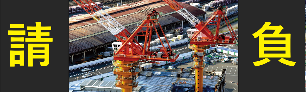 ���������ӔC�ی�