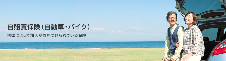 �����ӕی�